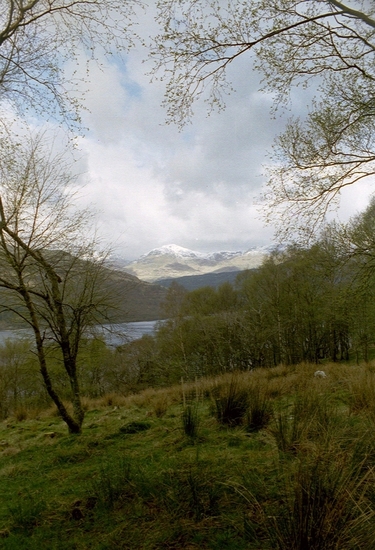 Landschap Loch Lomond
