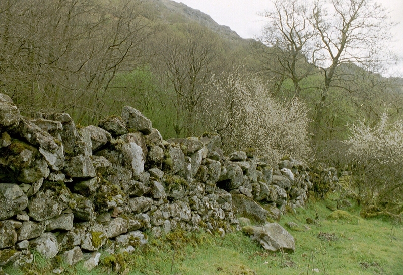 Keienmuur