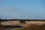 Het Hulshorsterzand is een zandverstuiving in de buurt van Hulshorst, tussen Harderwijk en Nunspeet. Het is een van mijn favoriete locaties.