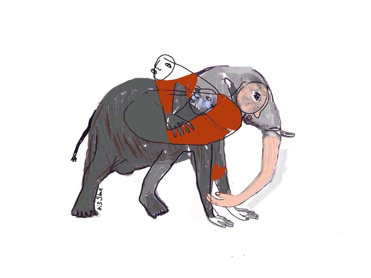 Houden van olifanten