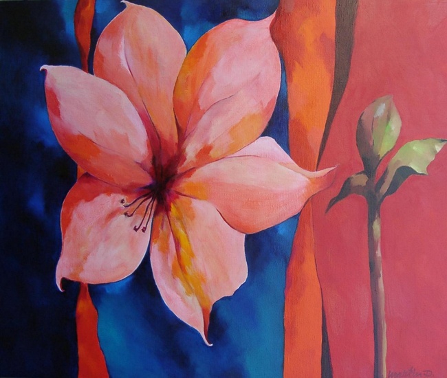 amaryllis