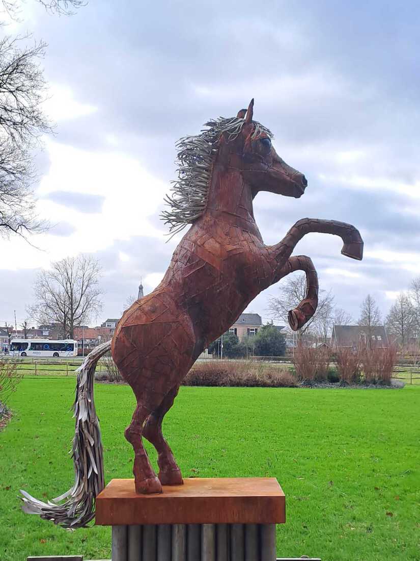 Paard
