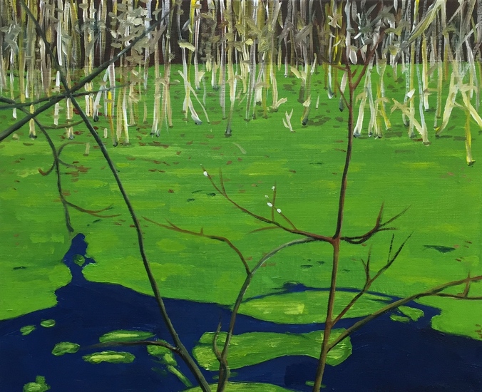 1606 waterkroost