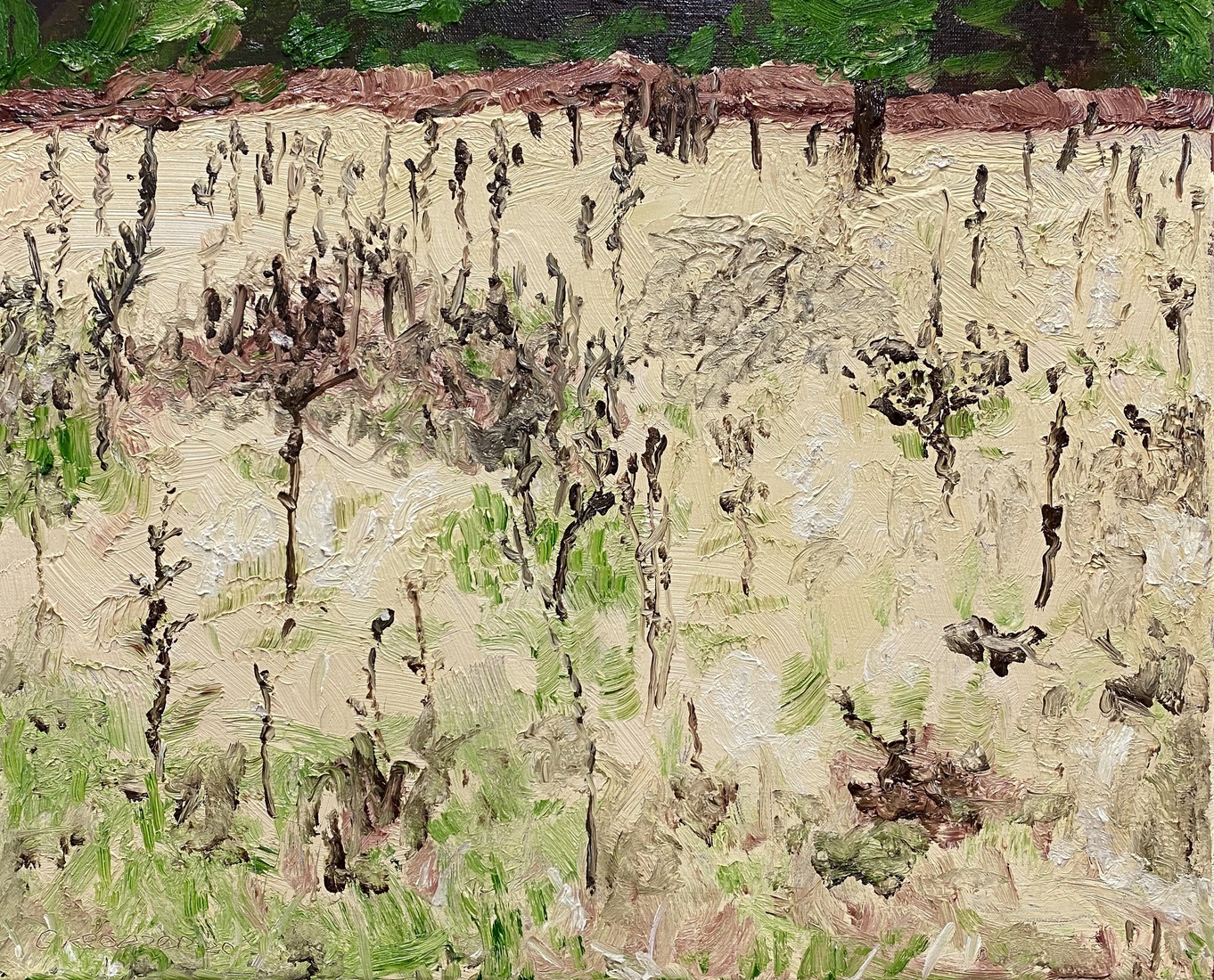 2006 najaarslandschap