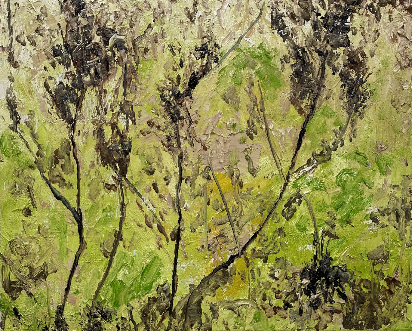 2106 Herfst in weiland