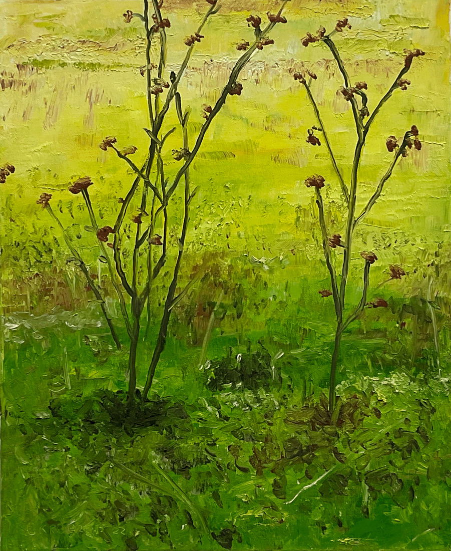2202 groene struiken