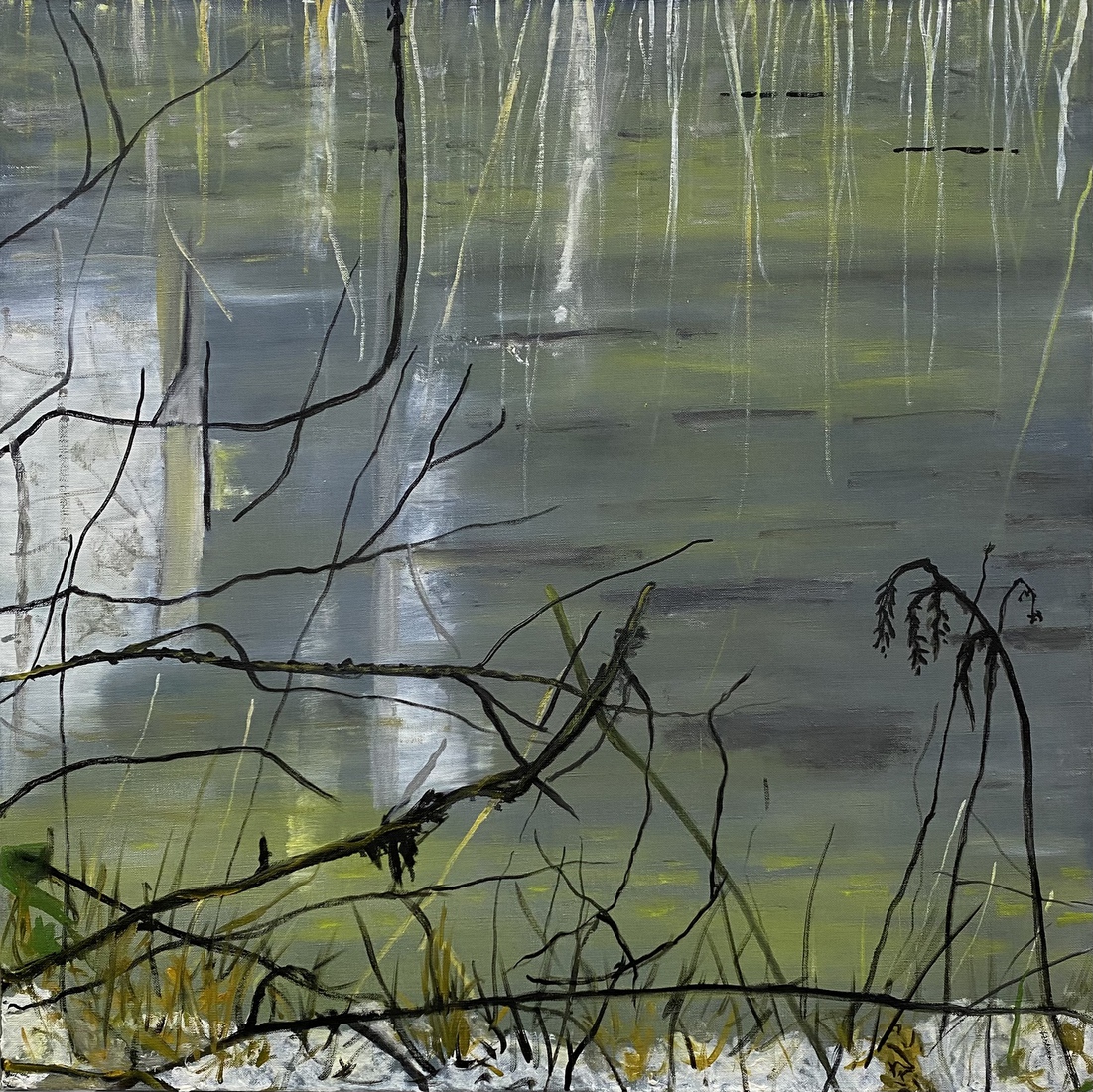 Ven in de winter 2501