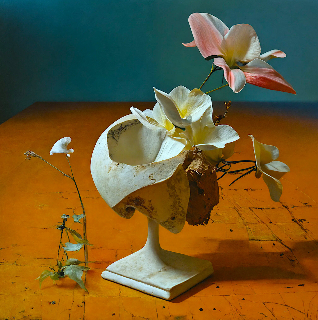 the true nature of form 01