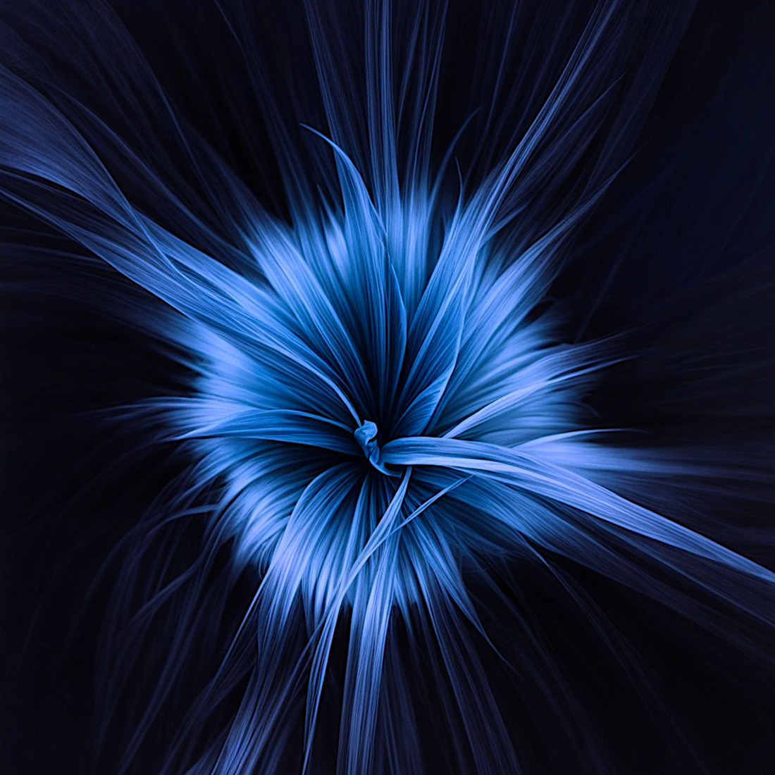 Darker shade of blue 00