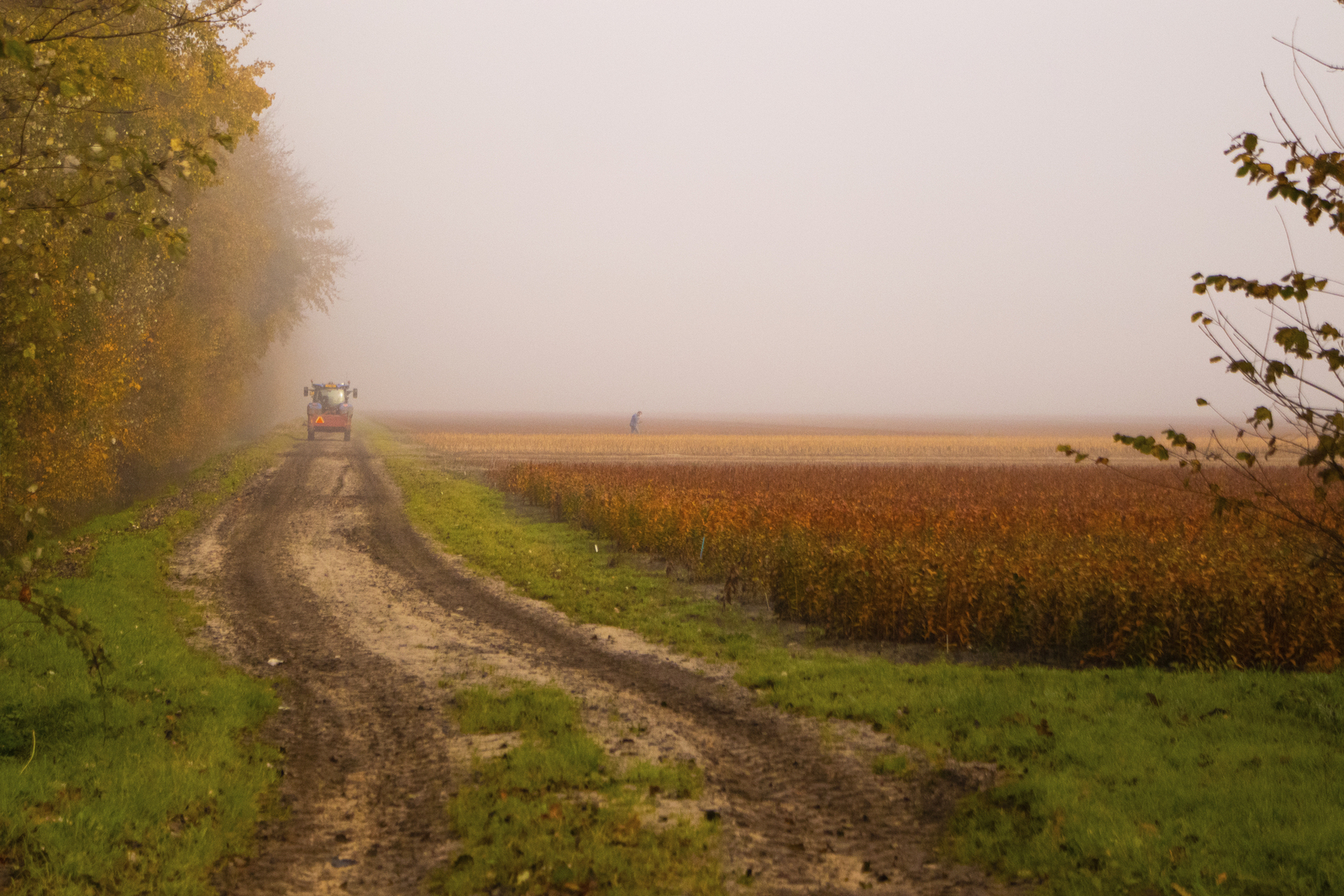 Akker in de mist