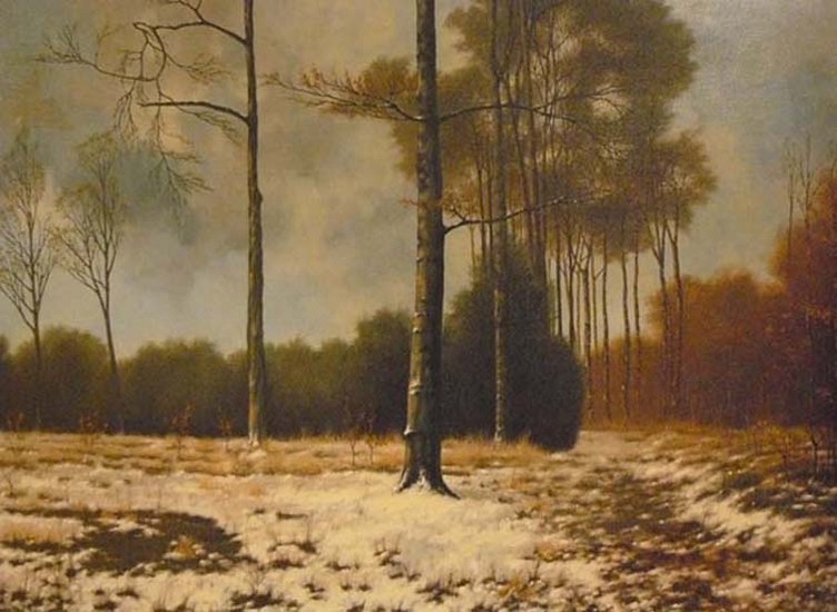 Landschap met lichte sneeuw