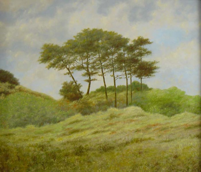 Midsland Terschelling