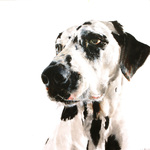 “Mijn schilderijen zijn geen portretten van gezichten, maar van karakters.”