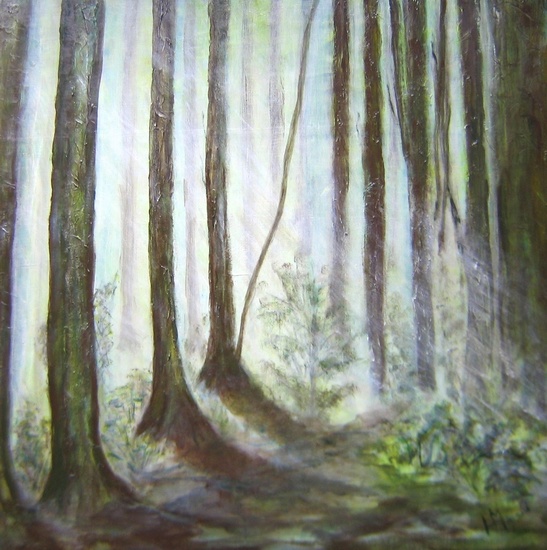 Zonnestralen door bomen