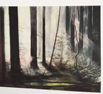 Door de bomen het bos niet meer zien.