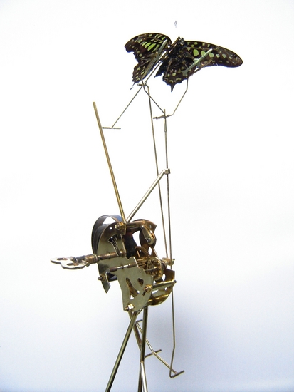 Opwind Vlinder