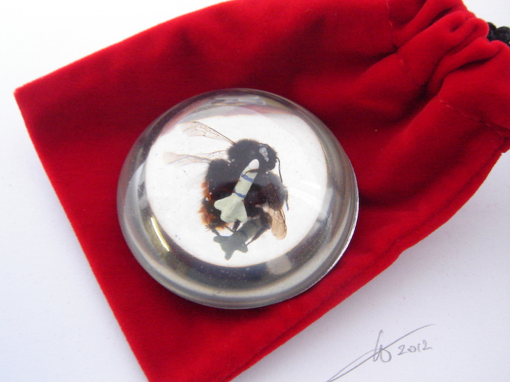 Beeware Broche