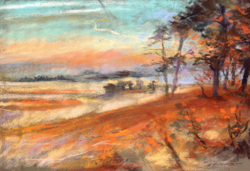 Loonse en Drunense duinen