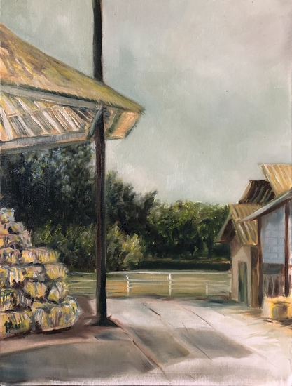 Zicht op Schapenlaan