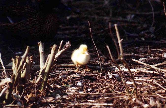 'In de warmte van de zon'