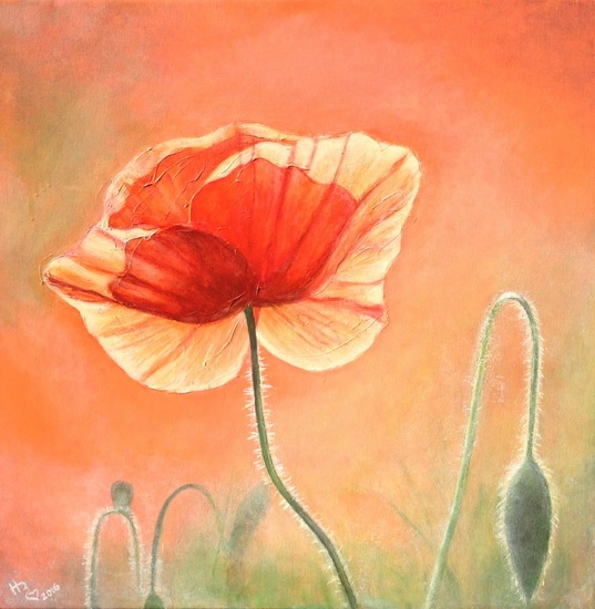 Zomergevoel - Klaproos