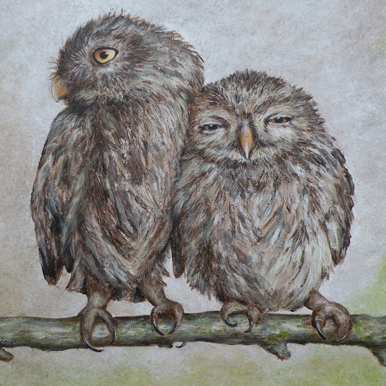 Gezellig stel - Uiltjes