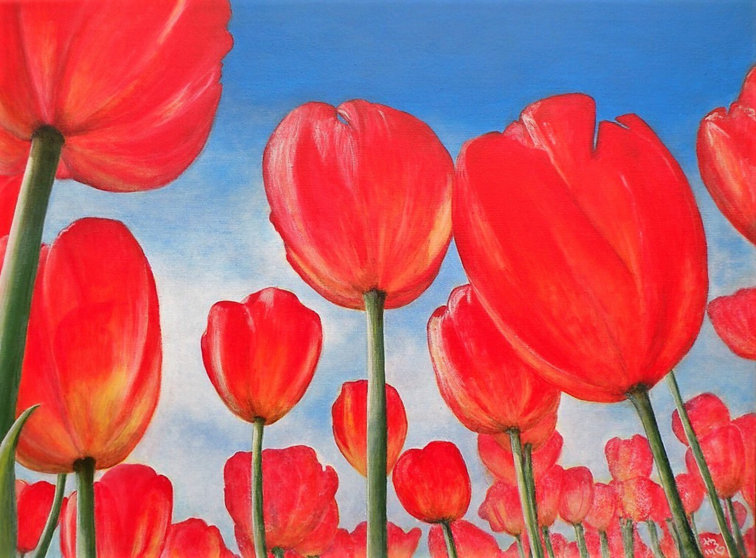 Tulpen - serie Holland