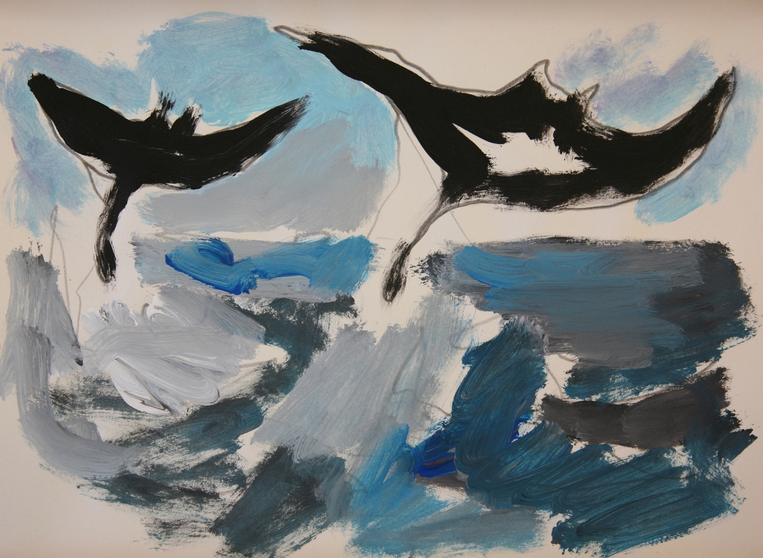  Springende zeeroggen 