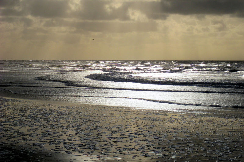 Texel, Nederland