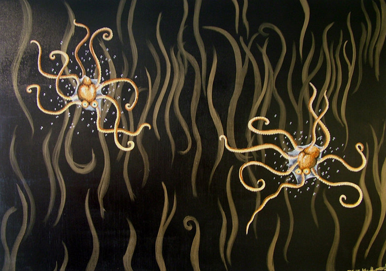 Twee kleine octopusjes