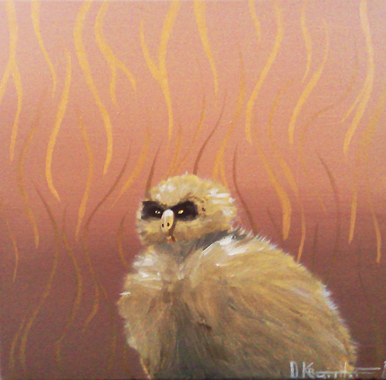 Portret van een Uilskuiken