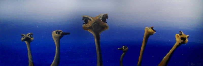 Nieuwsgierige Struisjes