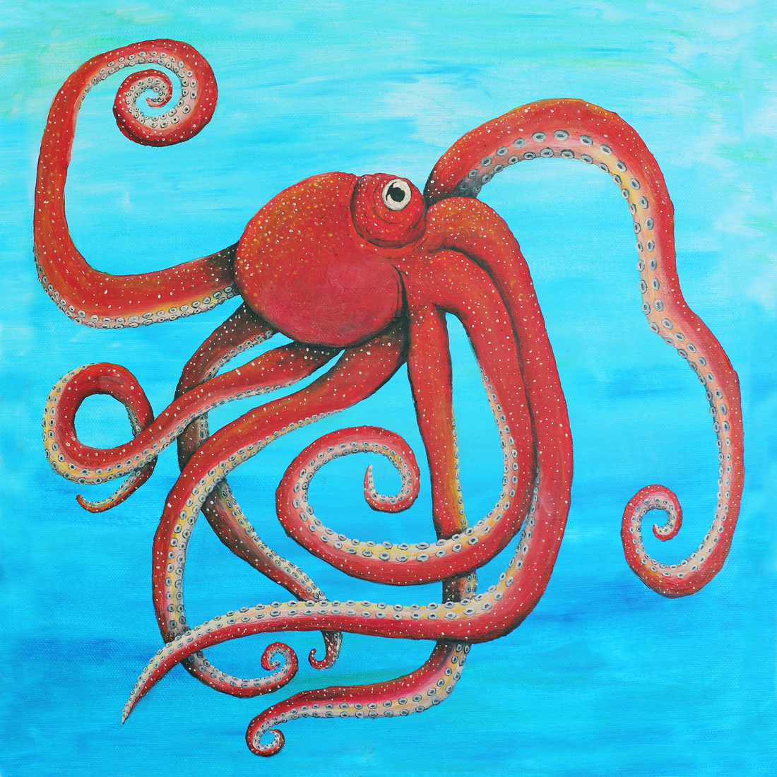Octopus