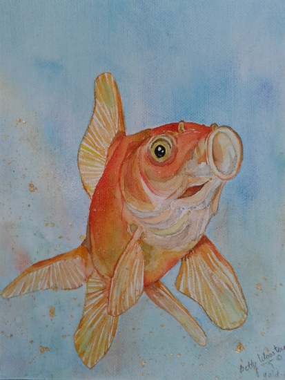 Gold-fish