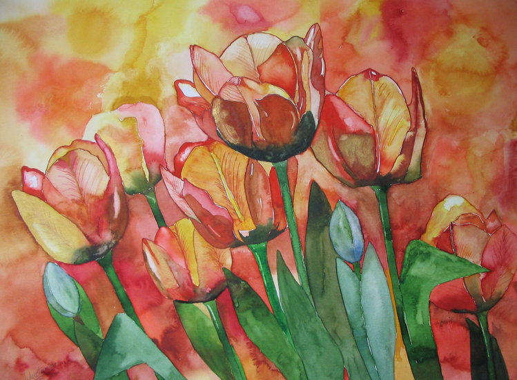Tulips Orange