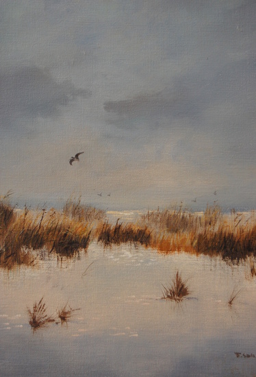 landschap - paisaje nr. 5