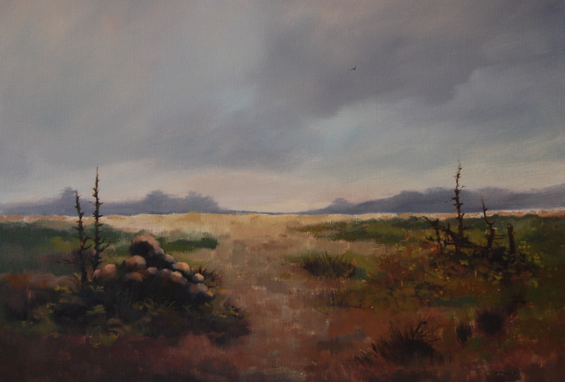 landschap - paisaje nr. 7