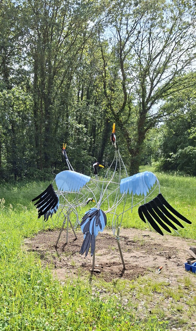 Baltsende kraanvogel