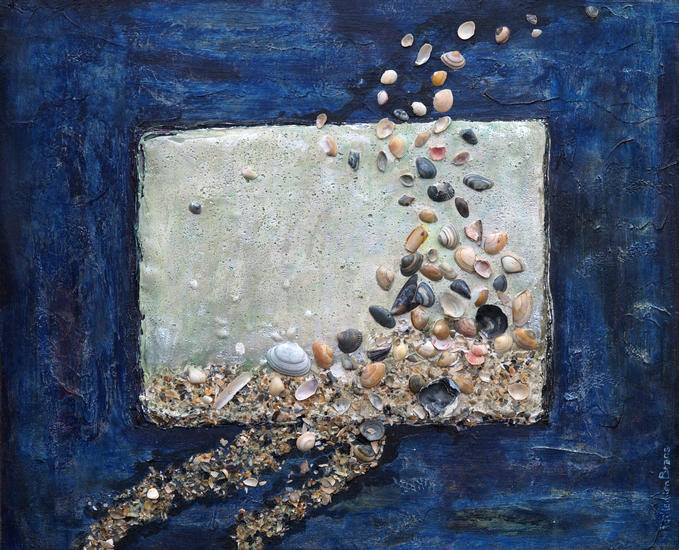 Schelpjes uit Blankenberge