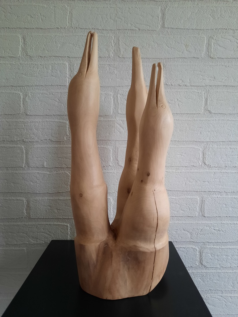 nest jonge aalscholvers