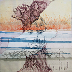 Impressies van polders en dijken