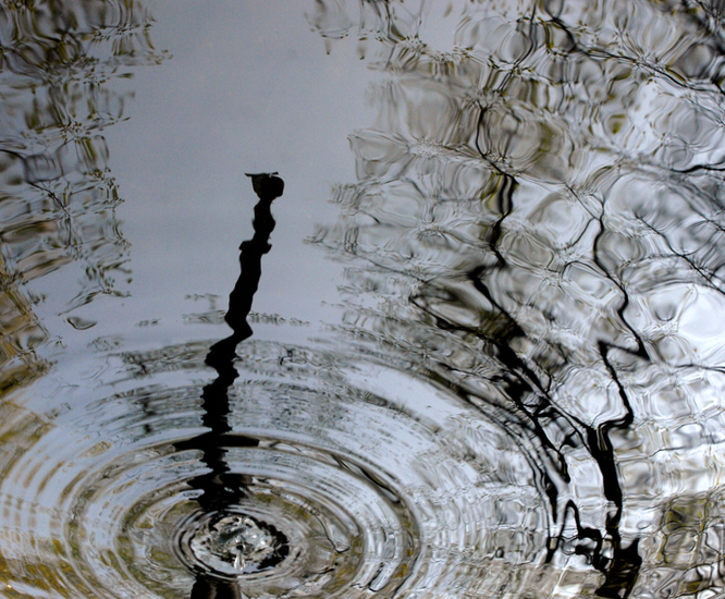 Drop
