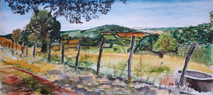 panorama's,architectuur, stilleven