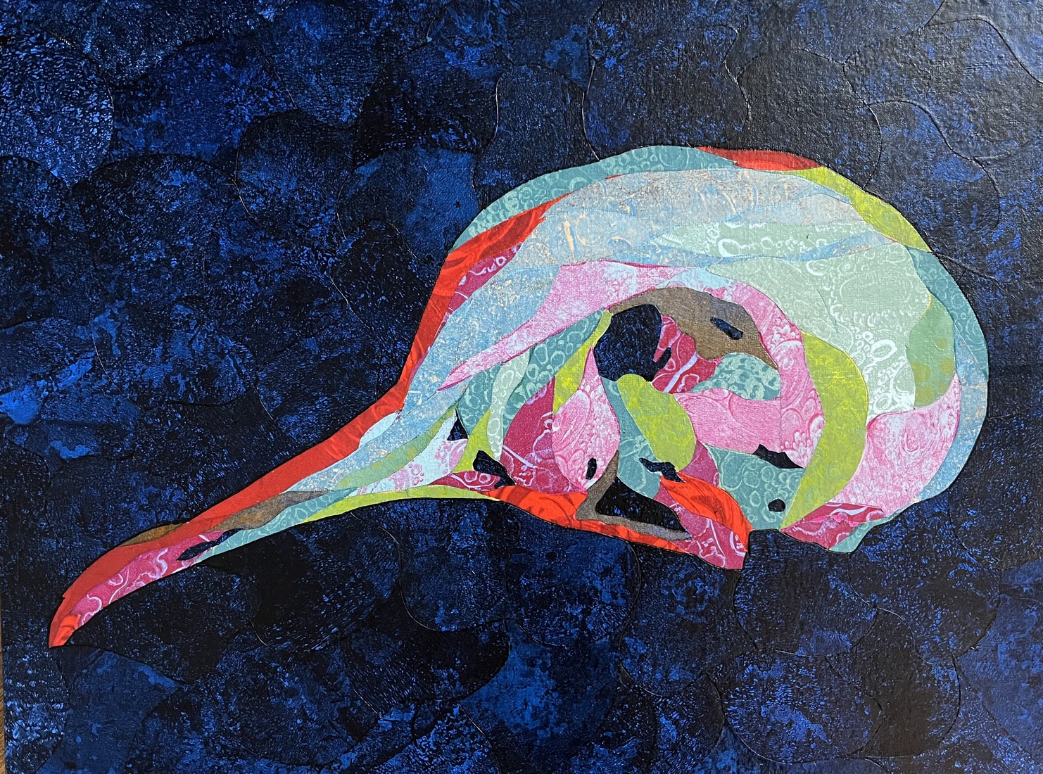 Bird skull