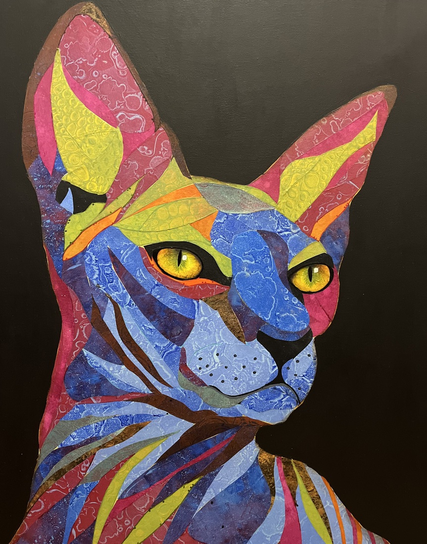 Mr. Cat