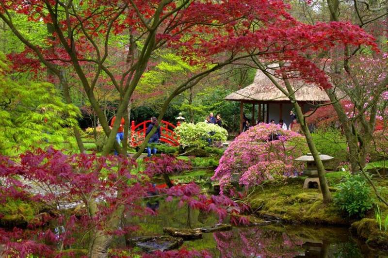 Japanse Tuin Clingendael