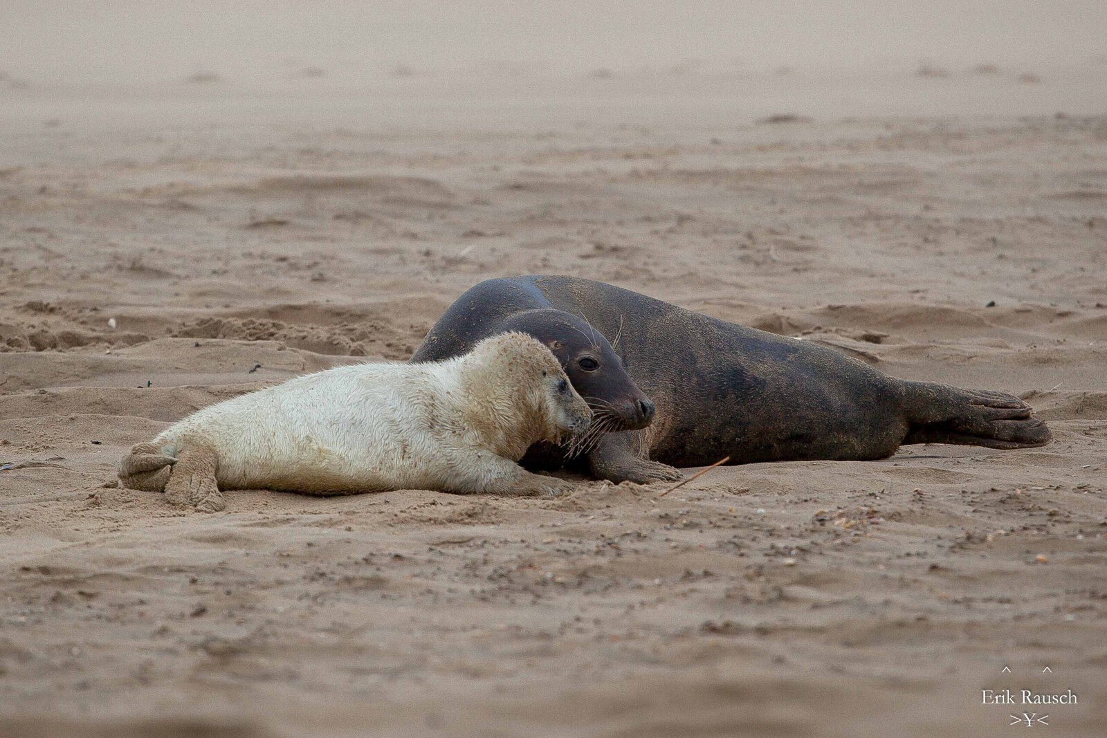 Zo lief!