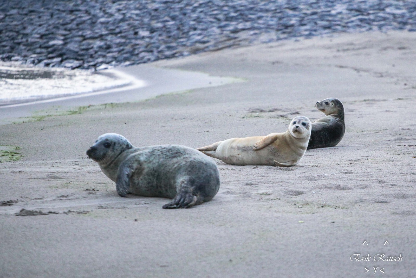 Gezellig samen