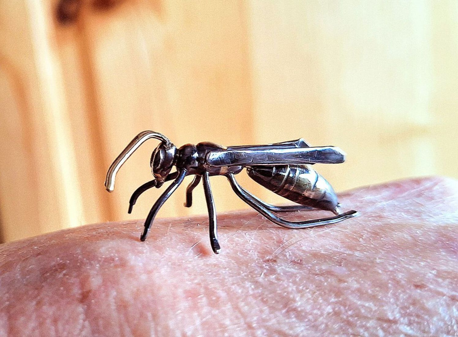 Wasp