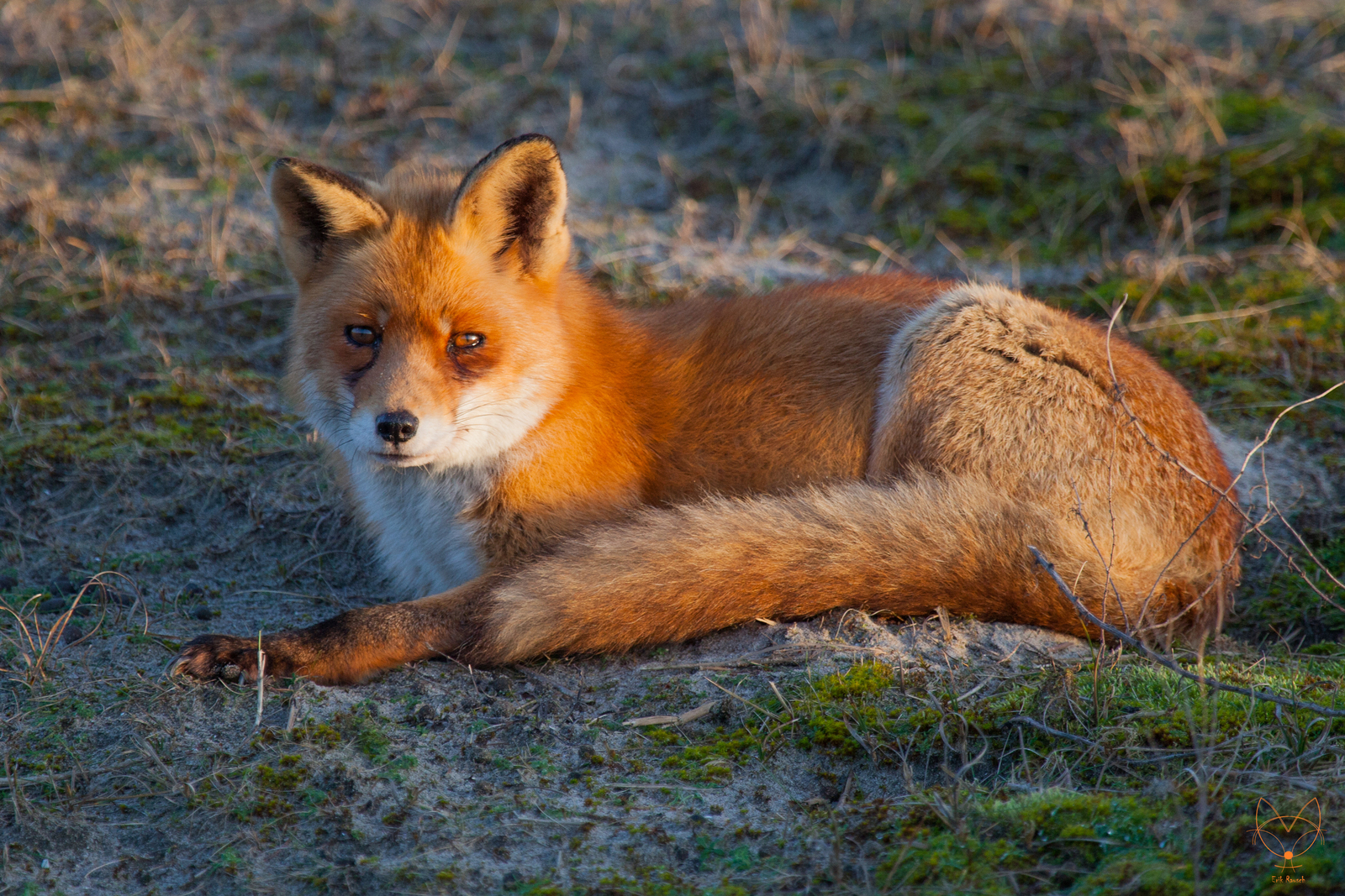 Lekker op haar oude dag in het zonnetje